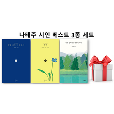 (사은품) 꽃을 보듯 너를 본다 + 풀꽃 + 너무 잘하려고 애쓰지 마라 세트, 나태주, 지혜