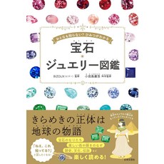 일본직배송 도서 보석주얼리 도감: 어른도 모르는가 비밀을 알 수 있다, 기본