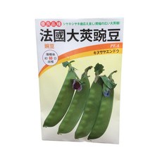 法國大莢豌豆種子，秋季蔬菜種植，60天收成，家庭園藝首選, 1個