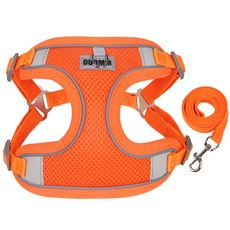디아쿠아 야광 빛반사 메쉬 강아지 하네스 리드줄 세트, 오렌지