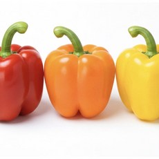국내산 파프리카 빨강 노랑 혼합 고추 롱 파프리카 못난이 피망 1kg [원산지:국산(경상남도 창녕군)], 1개