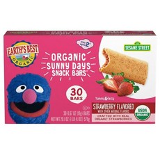 Earth's Best 써니 데이 바 딸기맛, 1개, 570g