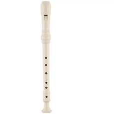 중국 악기 퉁소 연주 단소 쇠퉁소 초보 목관 산조대, 1개, 플라스틱 세로 플루트 6홀