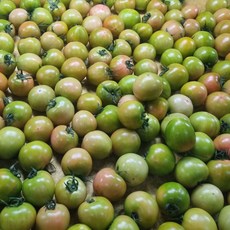 대저토마토 못난이 랜덤과, 5kg, 1박스