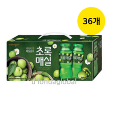 웅진 초록매실 병문안 음료 선물세트, 180ml