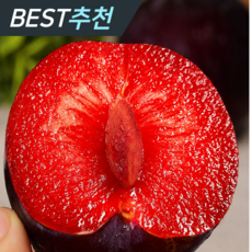 [작년판매1위] 일30박스한정판매 초고당도 체리자두, 1박스, 1kg