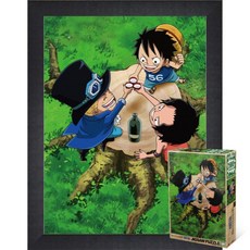 퍼즐피플 원피스 직소퍼즐 500피스 시리즈, 결의 500피스 액자포함(우드블랙), 1개