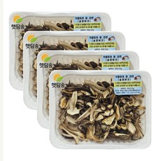 햇담송 무농약 건조송화 슬라이스 3인분 영양밥 찌개용 송화고버섯 나물밥 밥짓기용, 4개, 30g(슬라이스)