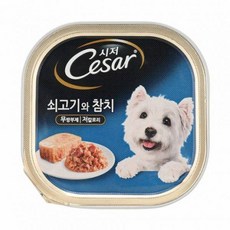 시저 쇠고기와 참치 캔 100g