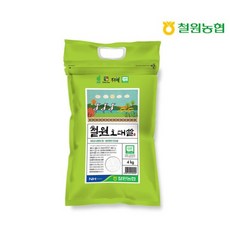 철원농협 두루웰 GAP 인증 철원오대쌀 백미 상등급, 4kg, 1개