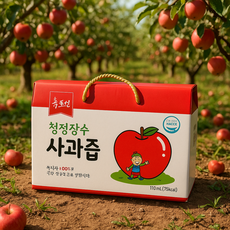 청정장수 사과즙 장수형제농원 저온압착 유기농 착즙 건강즙 국내산, 1박스, 110ml