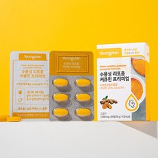 수용성 리포좀 커큐민 프리미엄(1개월분) 2박스, 상세설명 참조, 없음