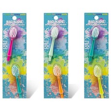 RADIUS Big Kidz Forever Brush 교체 가능한 헤드 만 6세 이상 아동용 BPA 프리 ADA 승인 치아 및 잇몸 성장에 적합 헤드 2개 - 매우 부드, 래디어스RADIUS Big Kidz Forever Br, Tangerine/Mint, Chartreuse/Tea