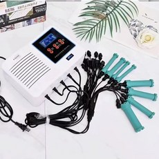 열펌기계 옥펌기 미용실 파마기 직펌기 휴대용 펌기 220v, C. 24V 미니 디지털 핫스닝 25 바