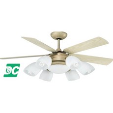 （修一）穩帝士吊扇60吋 黃沙金 DC吊扇【 直流變頻 】 吊扇燈 6 1 夜燈 遙控 台灣製造, 平光黑