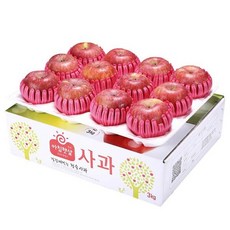 아침햇살 청송사과 2.5kg 팬캡포장 빨간사과, (정품)2.5kg(11~14과)-팬캡포장