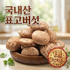 [1주초특가] 장인선별특품 쫄깃한 국내산 표고버섯, 1박스, 100g