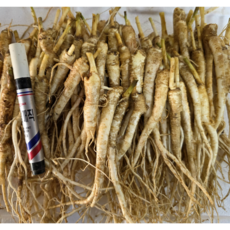 국산 약도라지 나물용 생도라지 모종용도라지 건도라지 금산 3년근 1kg, 1개, 1kg 나물용(소)-세척