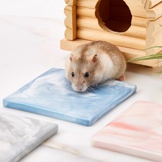 소동물용 마블 쿨매트, 블루