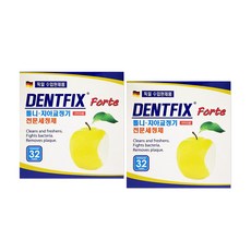 덴트픽스 틀니&치아교정기용 세정재, 32개입, 2개