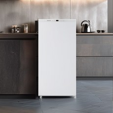 캐리어 클라윈드 미니 김치 냉장고 93L 스탠드형 1도어, KRNO093WKM1, 화이트