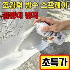 [TV 홈쇼핑] 독일 곰팡이방지 방수 스프레이 초강력 방수 스프레이 독일산 강력 방수 누수 보수 스프레이 방수 및 누수 보수 스프레이 포장 증정, 화이트, 1개, 300ml