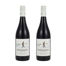 무알콜와인 논알콜 무알콜 샴페인 디스프루딴도 레드, 2개, 750ml