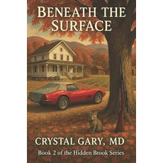 (英文圖書)Beneath the Surface: Book 2 Hidden Brook LARGE PRINT 平裝版, Starcreek Publishing, 英文