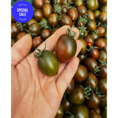 산지 직송!! 부산 특품(최상품) 프리미엄 흑대추 방울 토마토 2kg당일출고, 1개, 1kg