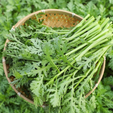 [초특가할인] 국내산 쑥갓 쑥갖, 1개, 1kg