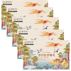부치카 골드 천년동전패치 총75매 후끈후끈찜질방 프리미엄동전패치, 5개