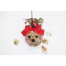 [쩡토피어리] 행잉 화분 볼 가랜드 반려식물 공기정화 토피어리, 1개