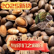 優選 新鮮甘肅 生松子 500g 新貨1000g 未加工 野生松子 原味 純天然 松子 堅果 無添加, 1個, 100g,0.6-0.9mm