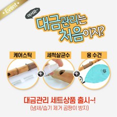 플리플리 대금 케어스틱 CareStick 세트 대나무/곰팡이방지 냄새제거 청소관리, 1개
