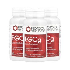 프로토콜 EGCg 카테킨 그린티 200mg 90캡슐 3개 녹차추출물, 90정