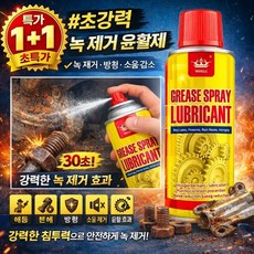 1+1 행사! 녹 제거 클리닝 스프레이 다용도 녹 제거 윤활제 강력 스테인리스강 녹 제거제 윤활, 1개