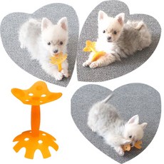 애완견 치발장난감 / 유치보호장난감 / 100%국내생산, 1개, 오렌지