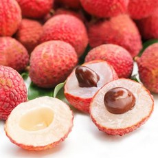 신선한 냉동열대과일 리치, 1개, 1kg