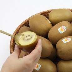 [고당도] 프리미엄 제스프리 골드키위 중대과