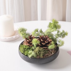 스칸디아모스 공기정화식물 센터피스 솔방울 옹기 수반 set 12cm 인테리어 천연 이끼 장식 소품 플랜테리어, 단품