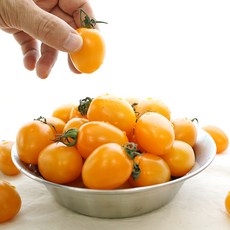 노랑좋아 노랑 대추 방울토마토, 1개, 1kg