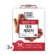 녹차원 이지케어 대추계피차, 2g, 10개입, 9개