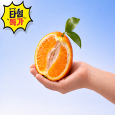 [기간한정] 초특가 고당도 제주 한라봉, 1개, 5kg