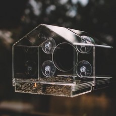 Backyard Expressions 투명 창문 새 모이통 큰 시야 구멍 분할 트레이 및 튼튼한 흡착 컵 실내 조류 관찰용 아크릴 창문 피더, Backyard Expressions 투명 창문 새 모, 1