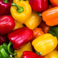 못난이 파프리카 빨주노초 혼합 가정용, 1개, 2kg