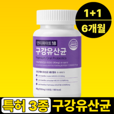 구강유산균 MG 특허 덴티파이토 18, 2개, 90정