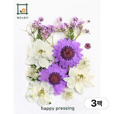 체크스토리 압화 컬러가든시리즈 누름꽃 꽃송이 압화재료 공예, 안개퍼플13(3팩), 퍼플