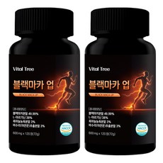 바이탈트리 아르기닌 블랙마카 업, 2개, 120정