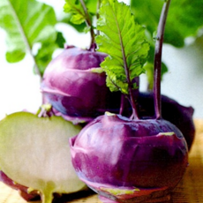 [가성비특가] 못난이 초고당도 달콤아삭 콜라비, 1개, 3kg