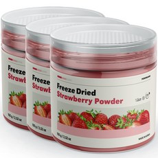 푸로가닉 동결건조 국산 딸기분말, 100g, 3개